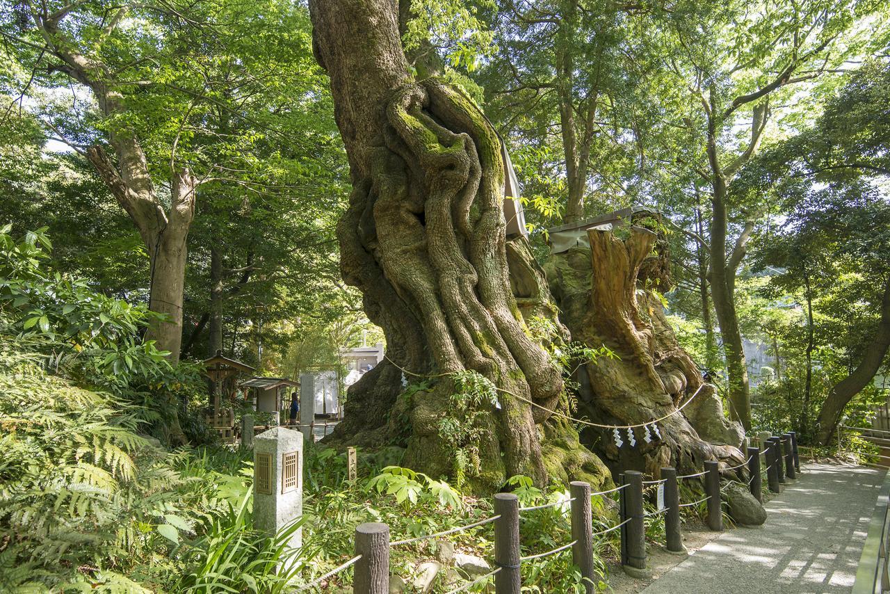 Tkp Lectore Atami Koarashi Extérieur photo